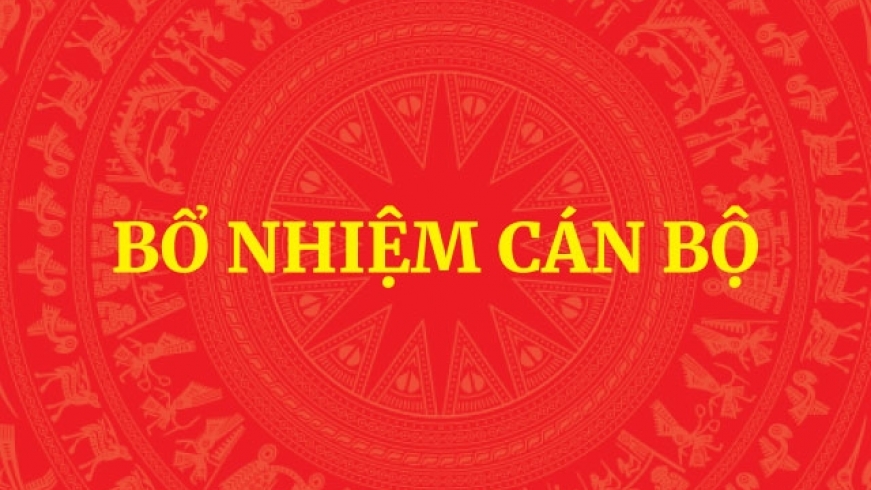 Bổ nhiệm Trợ lý Thủ tướng, Phó Thủ tướng Thường trực Chính phủ